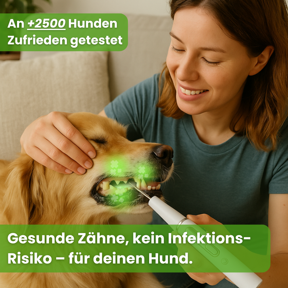 DoggyDent Kit l Hunde Pflege Gewinner 2025