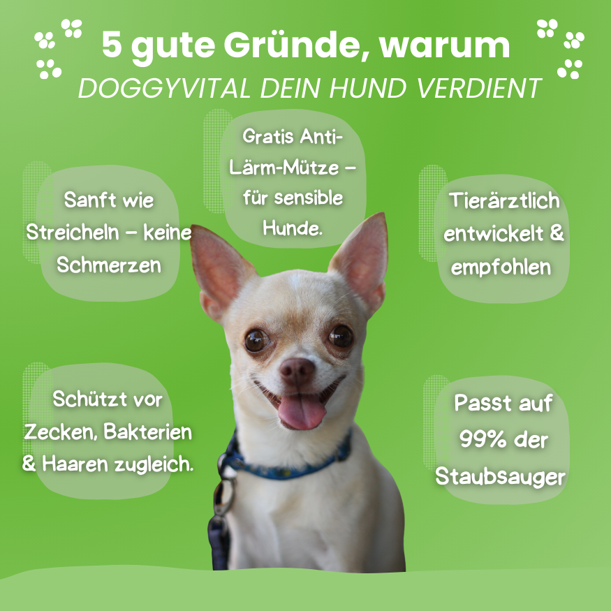 DoggyVital | Fell-Medizin Gewinner 2025