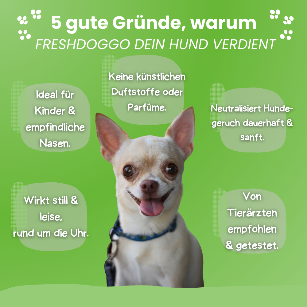 FreshDoggo | Hunde Gadget Gewinner 2025