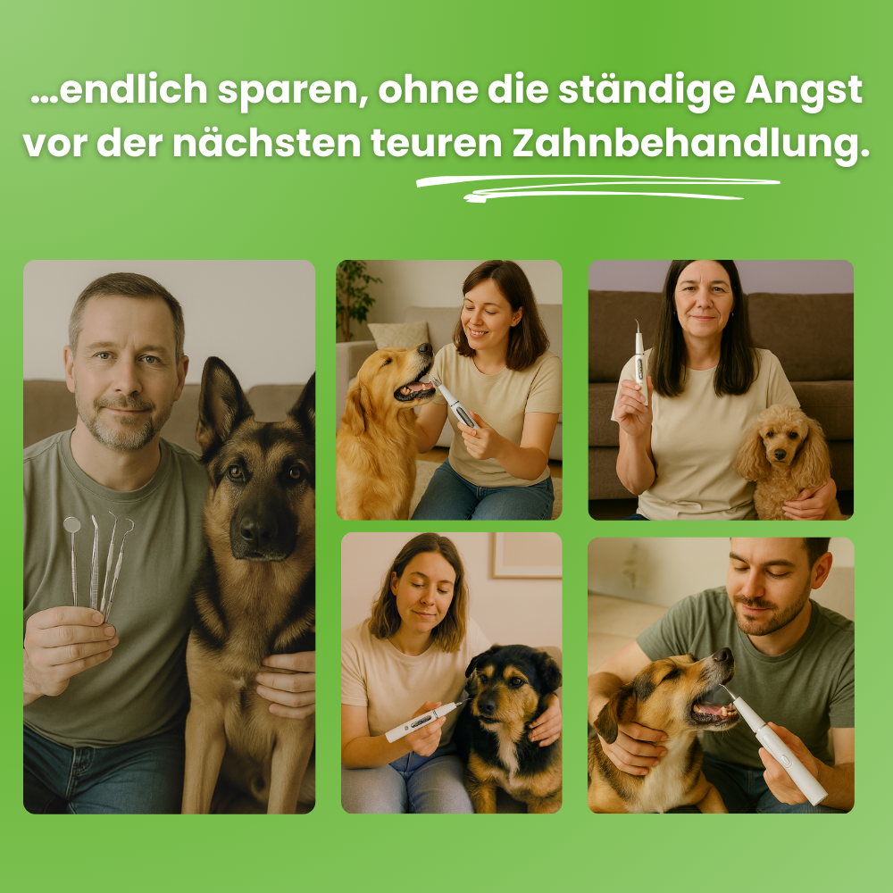 DoggyDent Kit l Hunde Pflege Gewinner 2025