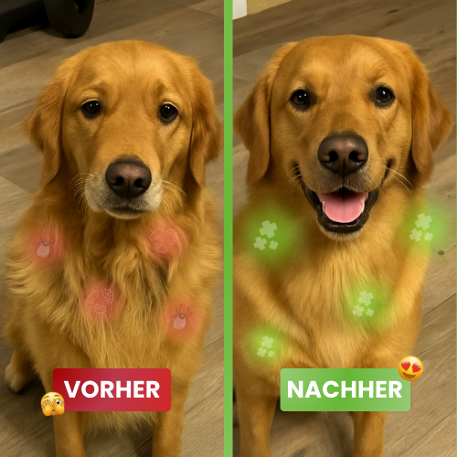 DoggyVital | Fell-Medizin Gewinner 2025