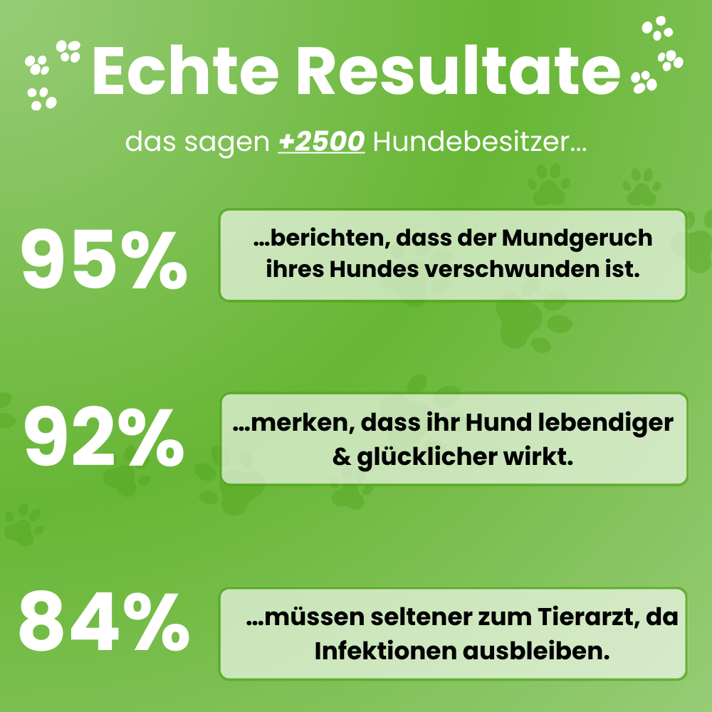 DoggyDent Kit l Hunde Pflege Gewinner 2025