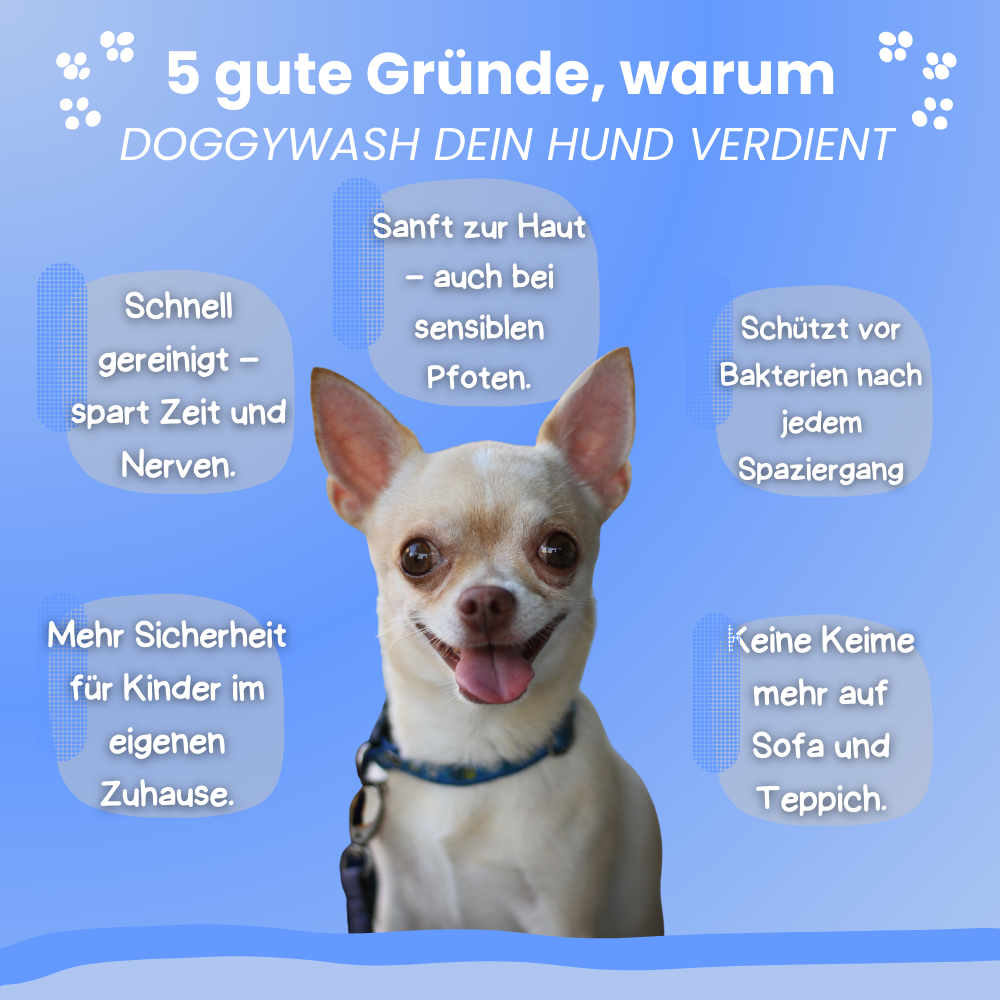 DoggyWash | Hygiene Gadget Gewinner 2025