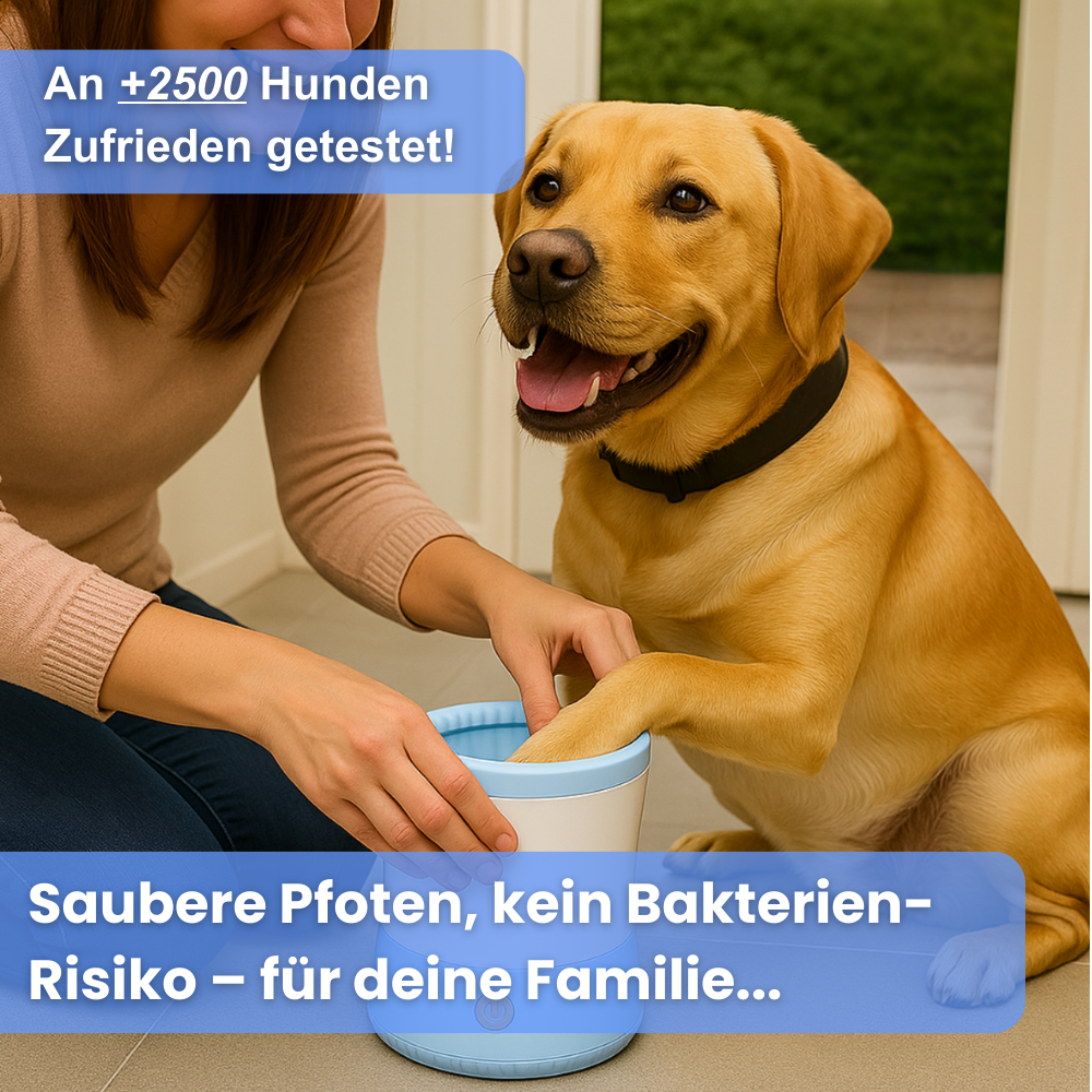 DoggyWash | Hygiene Gadget Gewinner 2025