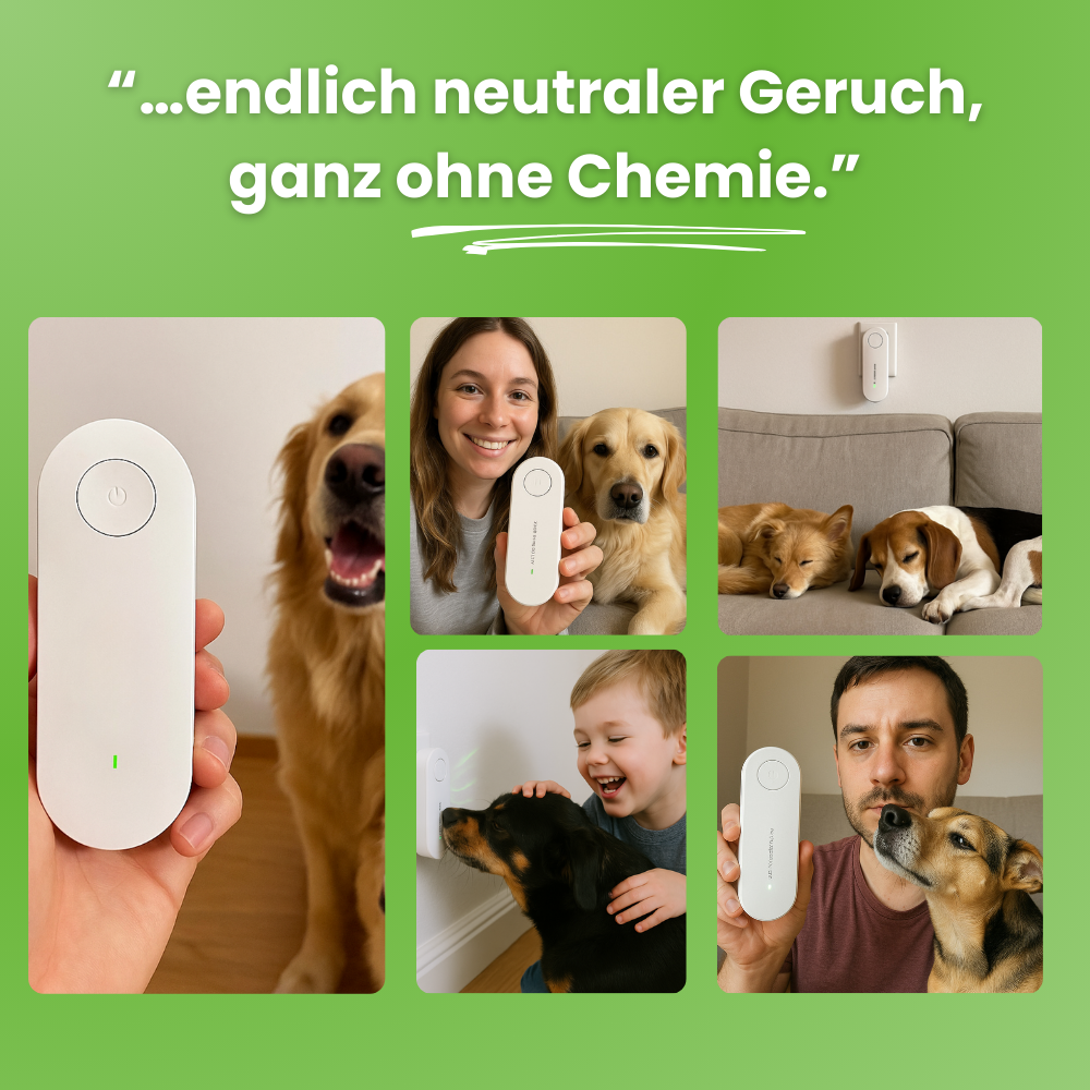 FreshDoggo | Hunde Gadget Gewinner 2025