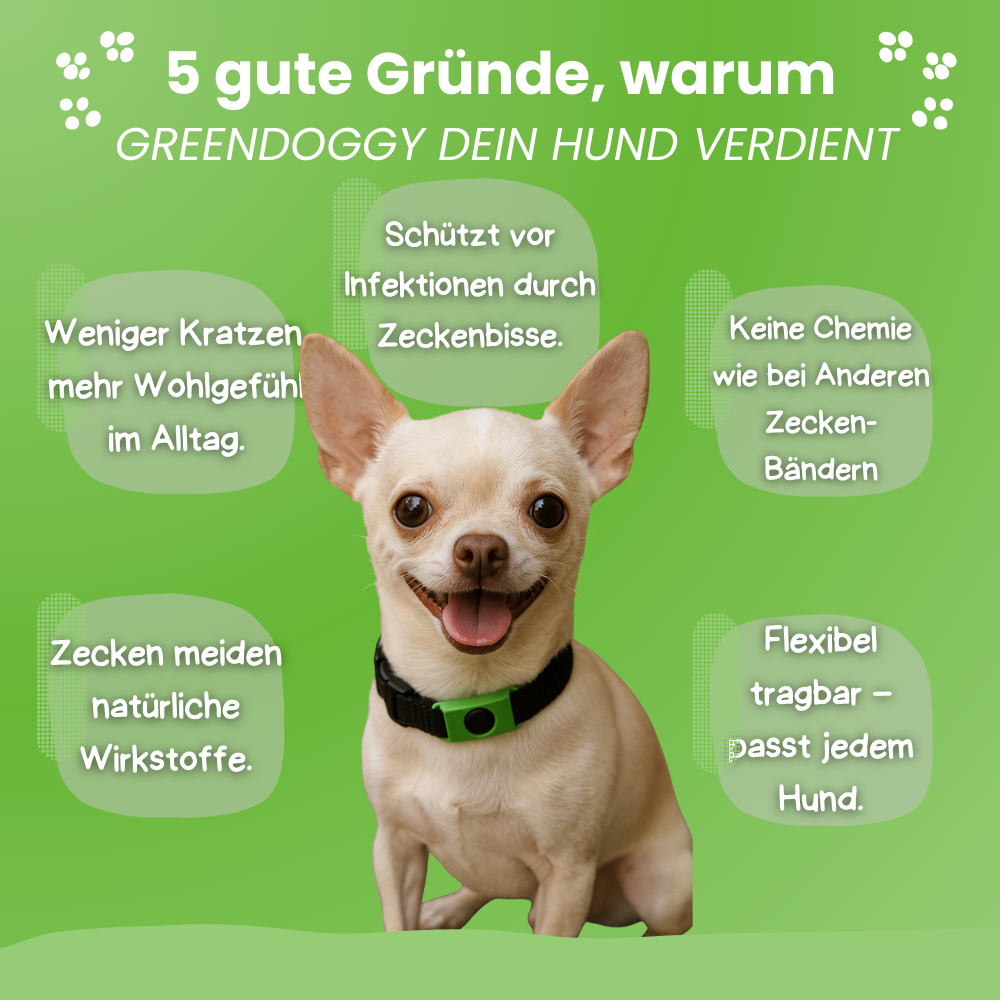 GreenDoggy l Fell Medizin Gewinner 2025