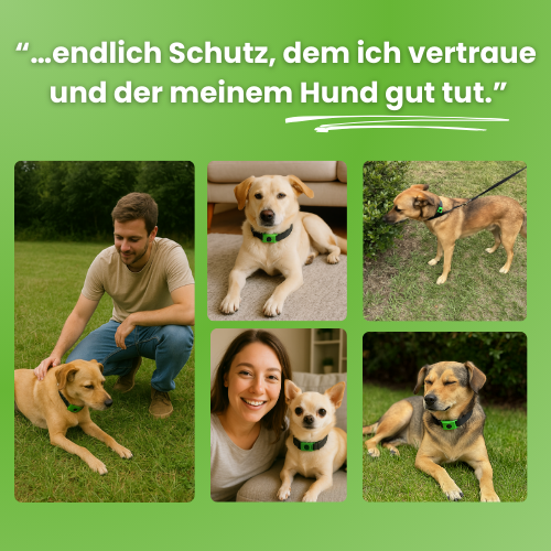 GreenDoggy l Fell Medizin Gewinner 2025
