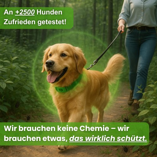 GreenDoggy l Fell Medizin Gewinner 2025
