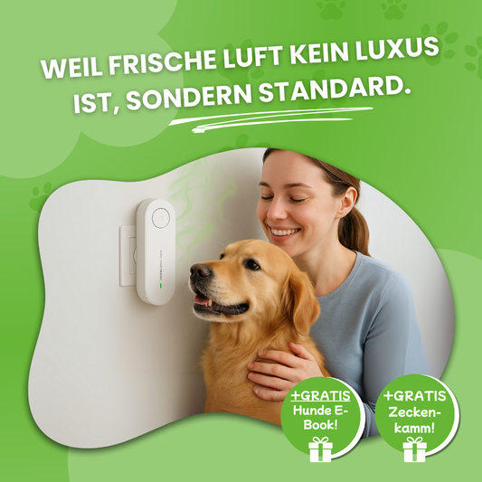 FreshDoggo | Hunde Gadget Gewinner 2025