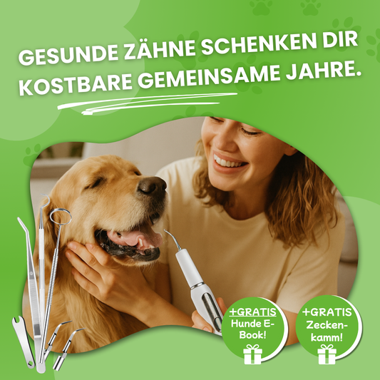 DoggyDent Kit l Hunde Pflege Gewinner 2025