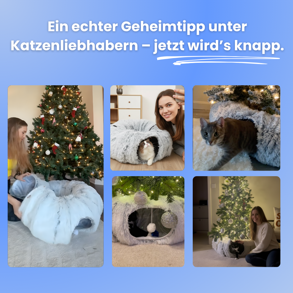 MerryKitty Nest | Geschenkfavorit 2025