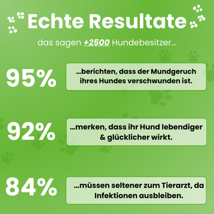DoggyDent Kit l Hunde Pflege Gewinner 2025