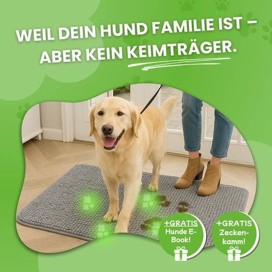 DoggyMat | Medizin Hygiene Gewinner 2025
