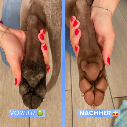 DoggyWash | Hygiene Gadget Gewinner 2025