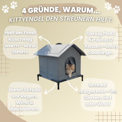 KittyEngel | Tierschutz Shelter Gewinner 2025