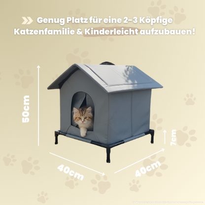 KittyEngel | Tierschutz Shelter Gewinner 2025