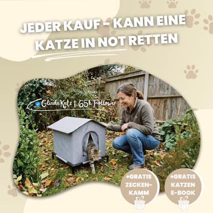 KittyEngel | Tierschutz Shelter Gewinner 2025