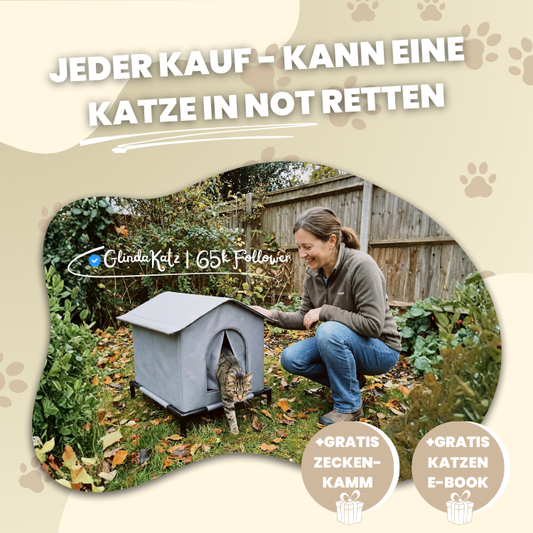 KittyEngel | Tierschutz Shelter Gewinner 2025
