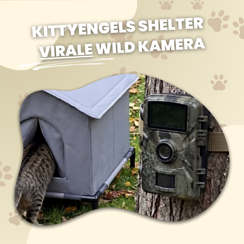 + Extra Aufnahme Kamera