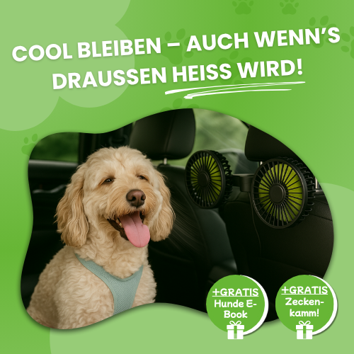 FreshDoggy | Reise Gadget Gewinner 2025