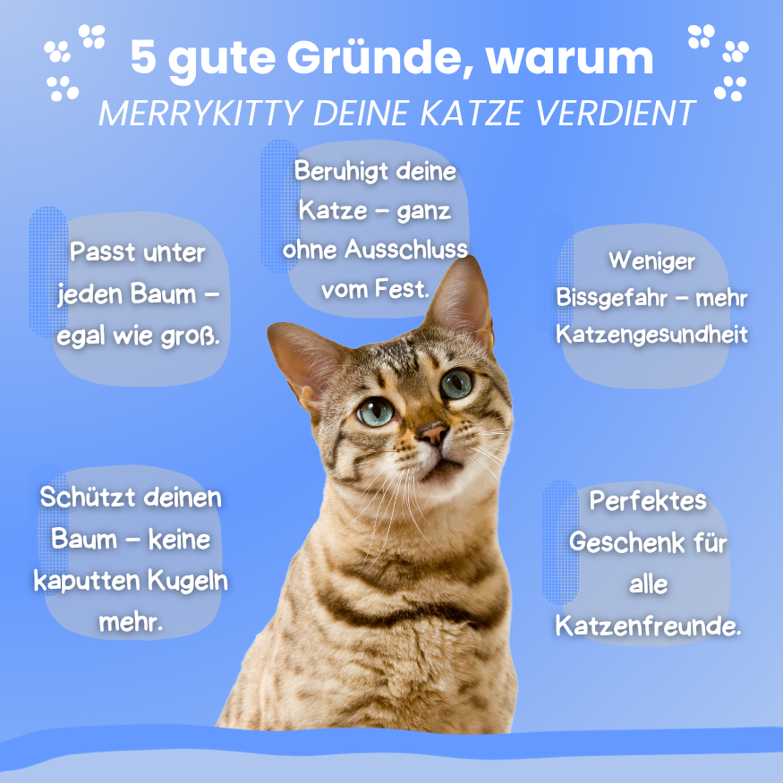 MerryKitty Nest | Geschenkfavorit 2025
