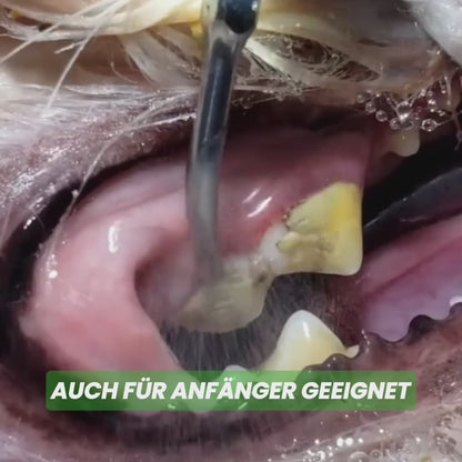 DoggyDent Kit l Hunde Pflege Gewinner 2025